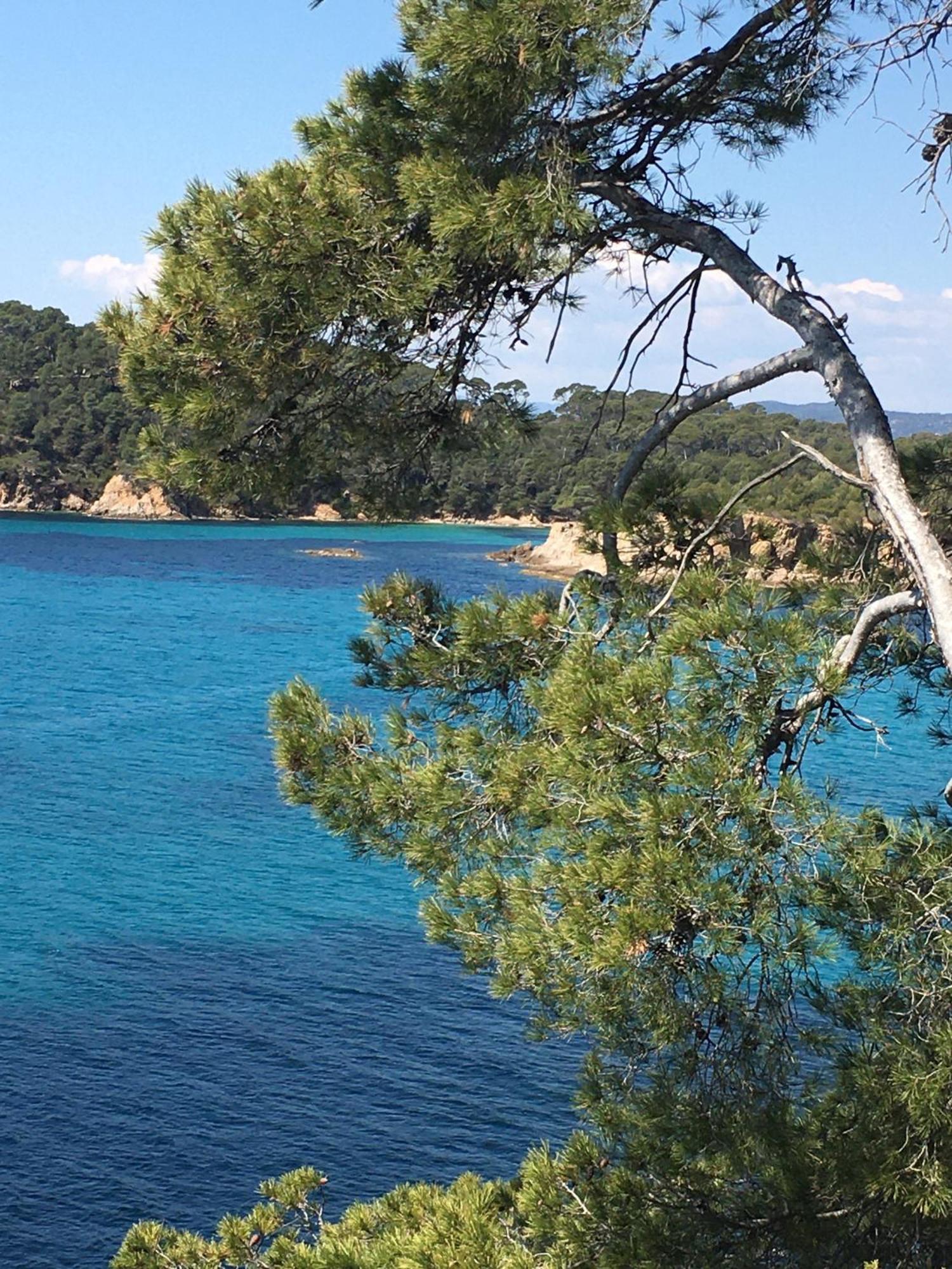 T3 Front De Mer Dernier Etage Vue Mer Petit Havre De Paix Pour Vos Vacances Emplacement Unique Vue Mer Panoramique A 180 Degres Pour Ce T3 En Face De La Plage Front De Mer Vue Sur Les Iles 5 Et Dernier Etage Avec Ascenseur Le Lavandou Extérieur photo
