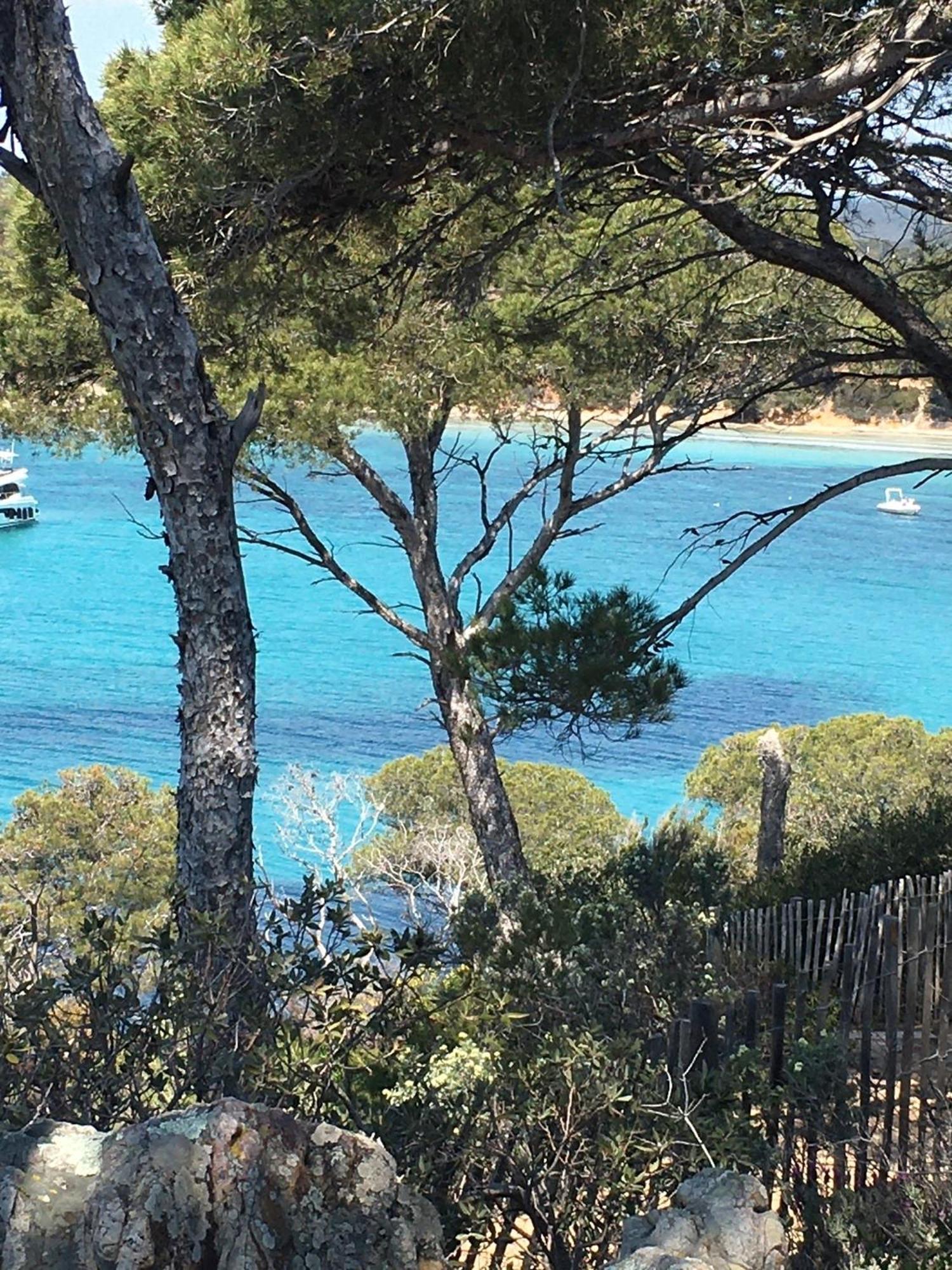 T3 Front De Mer Dernier Etage Vue Mer Petit Havre De Paix Pour Vos Vacances Emplacement Unique Vue Mer Panoramique A 180 Degres Pour Ce T3 En Face De La Plage Front De Mer Vue Sur Les Iles 5 Et Dernier Etage Avec Ascenseur Le Lavandou Extérieur photo
